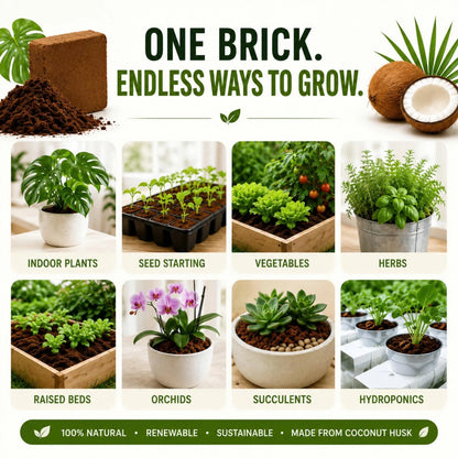 Stop Killing Your Plants With Bad Soil.