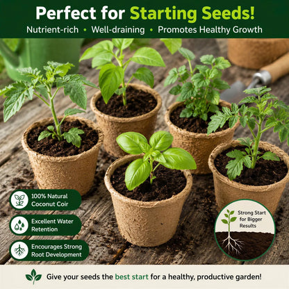 Stop Killing Your Plants With Bad Soil.