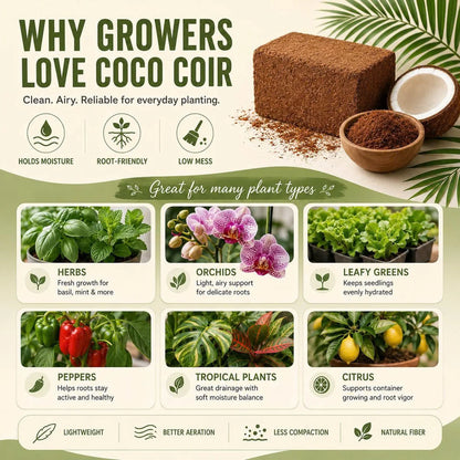 Stop Killing Your Plants With Bad Soil.