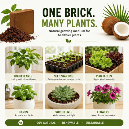 Stop Killing Your Plants With Bad Soil.