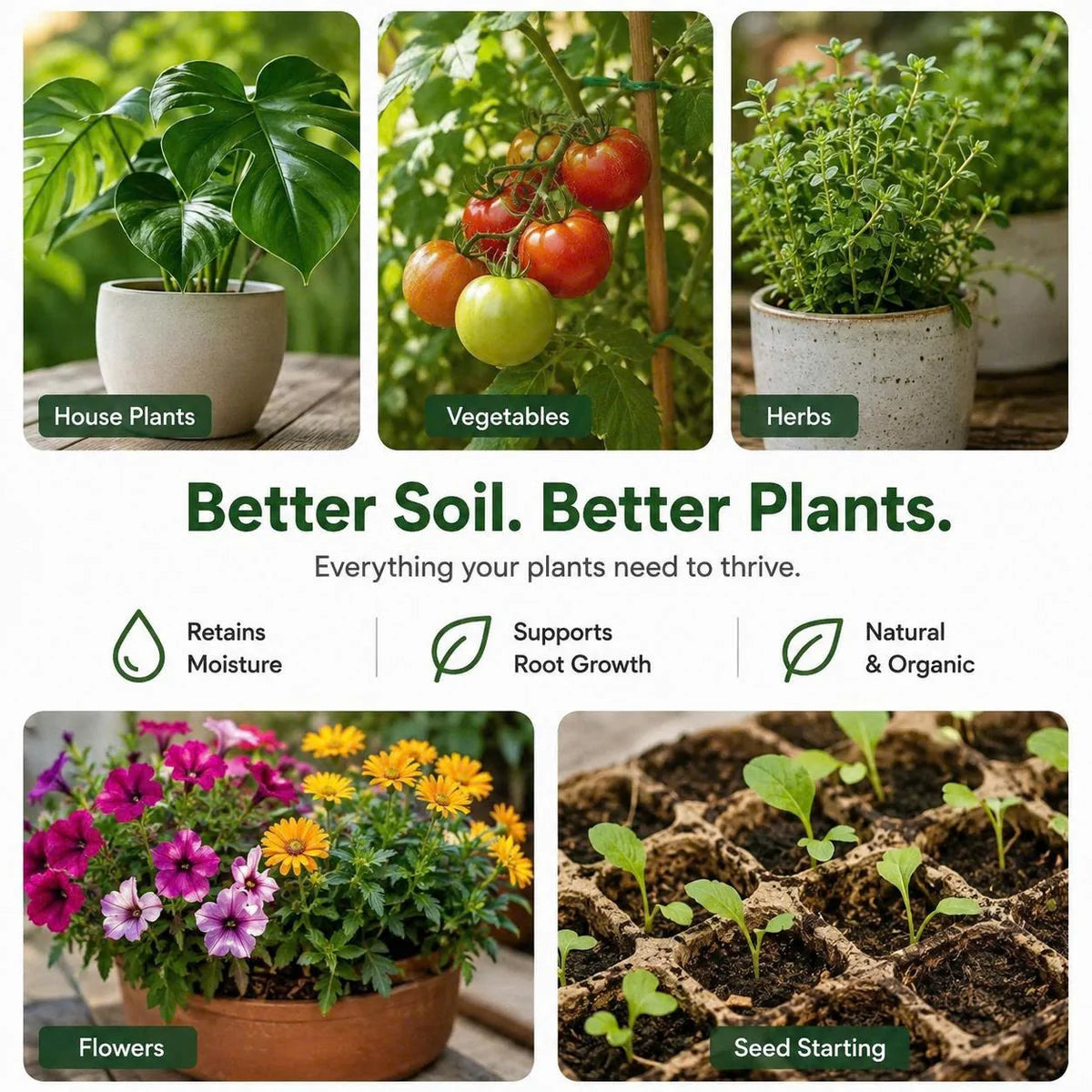 Stop Killing Your Plants With Bad Soil.