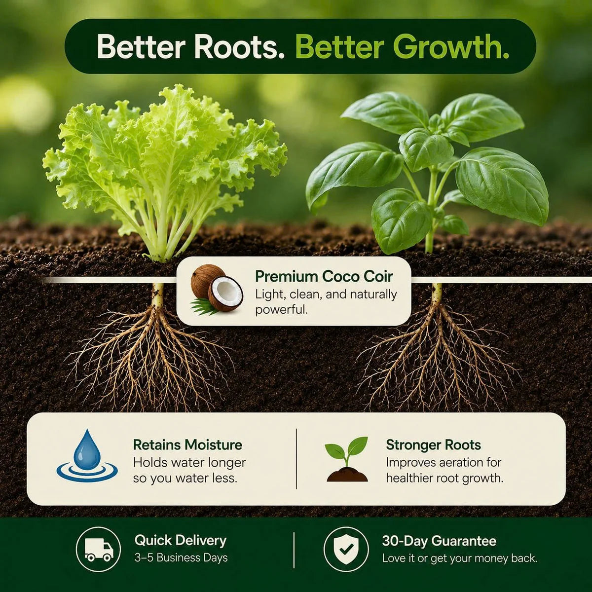 Stop Killing Your Plants With Bad Soil.