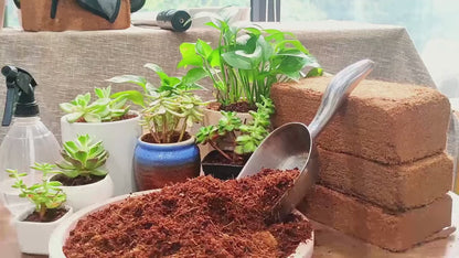Stop Killing Your Plants With Bad Soil.